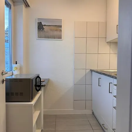 Cozy One-bedroom In Hongg Zurich