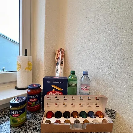 Cozy One-bedroom In Hongg * Zurich