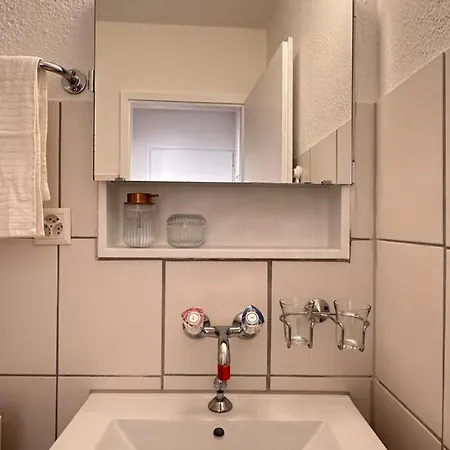 Apartment Cozy One-bedroom In Hongg Zurich
