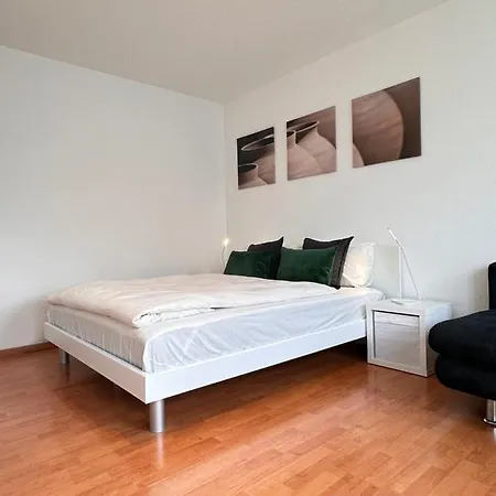 Apartment Cozy One-bedroom In Hongg Zurich