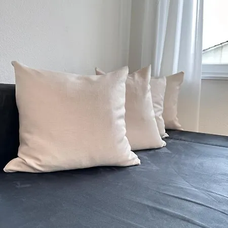 Cozy One-bedroom In Hongg Lägenhet Zürich